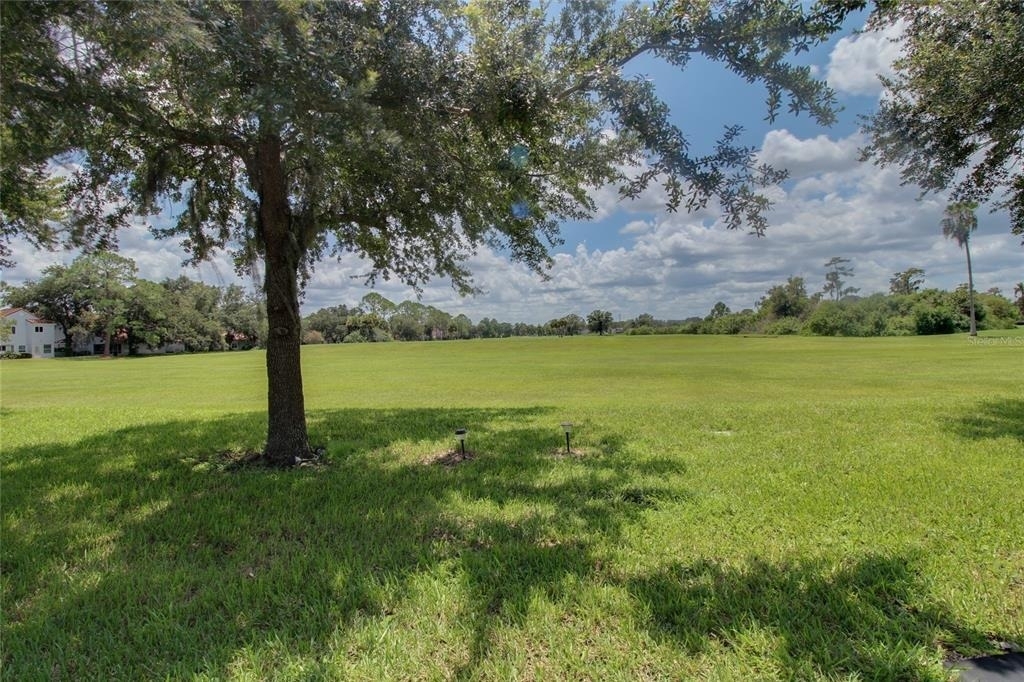 20626 Maxim Parkway - Photo 24