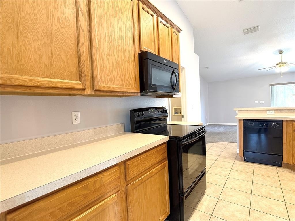 310 White Ibis Lane - Photo 4