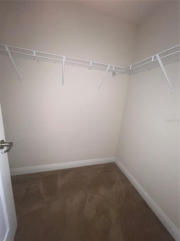 27008 Clear Creek Way - Photo 13