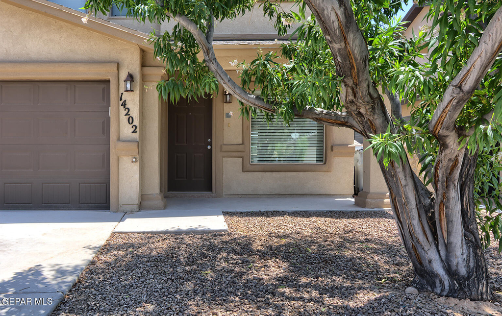 14202 Ranier Point Drive - Photo 4