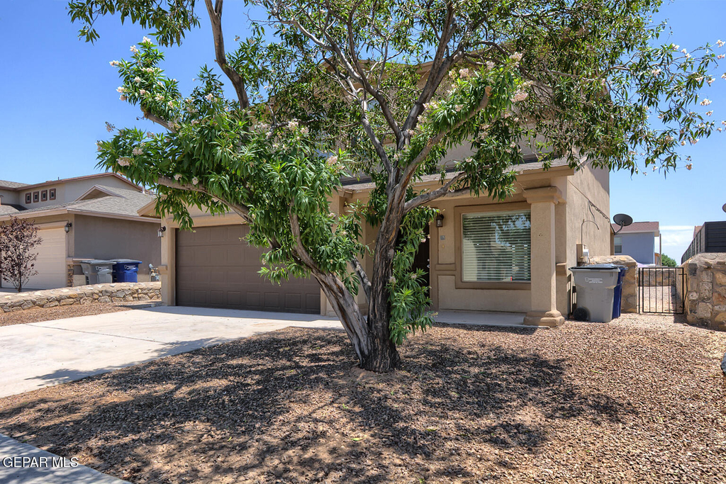 14202 Ranier Point Drive - Photo 1