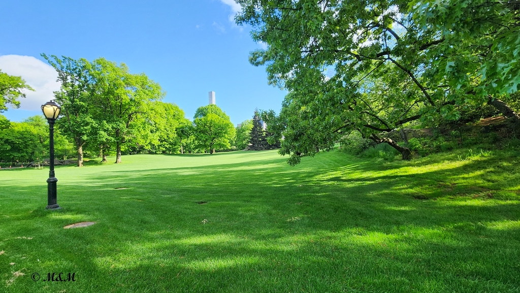 West 68th Street - Photo 6