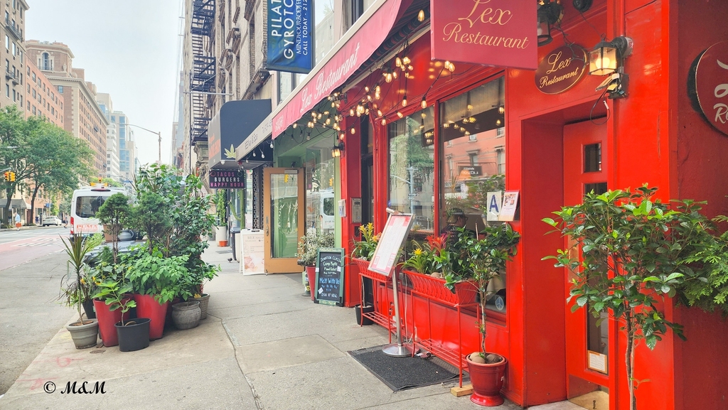 East 87th Street - Photo 5