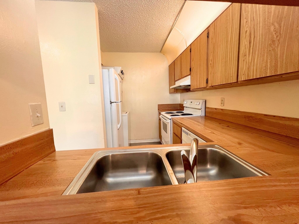 843 Twin Lakes Drive - Photo 4