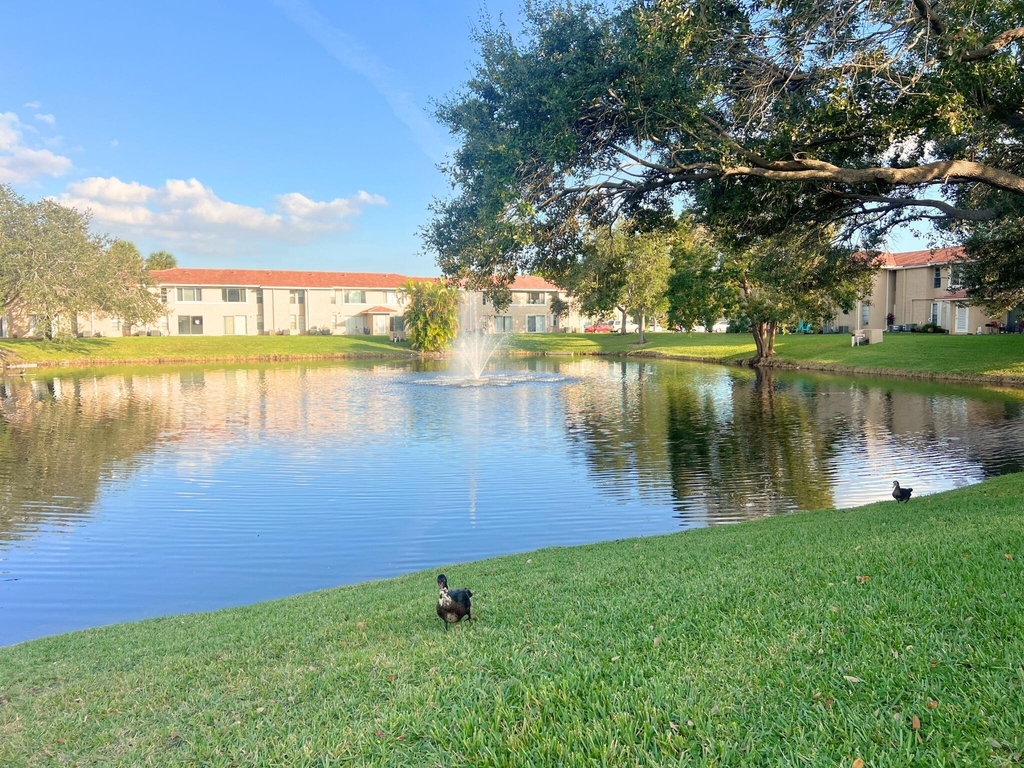 843 Twin Lakes Drive - Photo 12