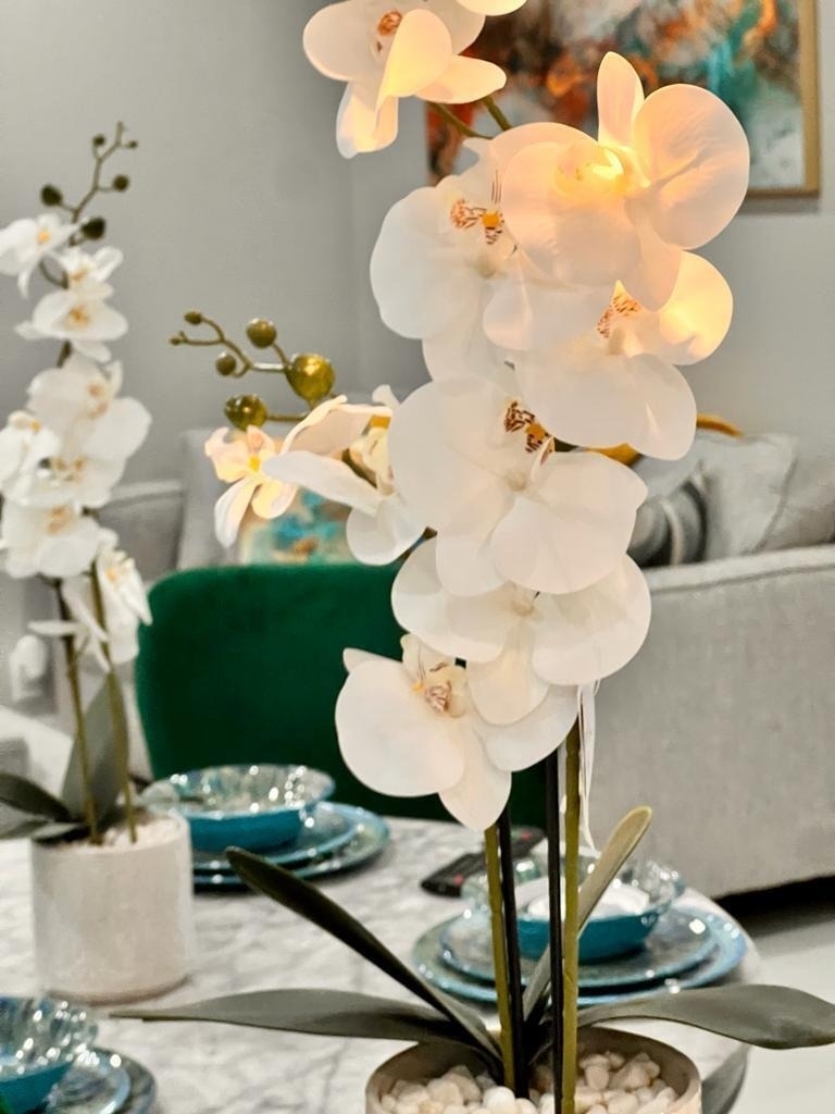 51 Lariat Circle - Photo 14