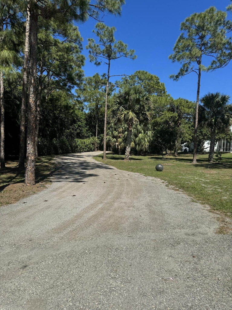 14161 Caloosa Boulevard - Photo 2