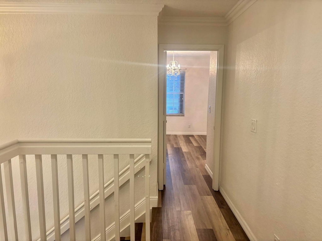 5207 Eagle Cay Place - Photo 10