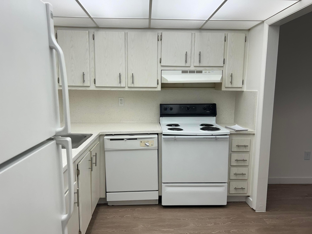 4108 N Pine Island Road - Photo 2