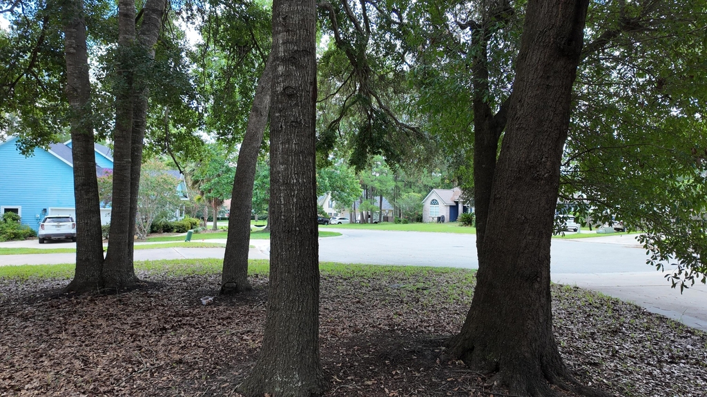 11444 Nw 18th Lane - Photo 3