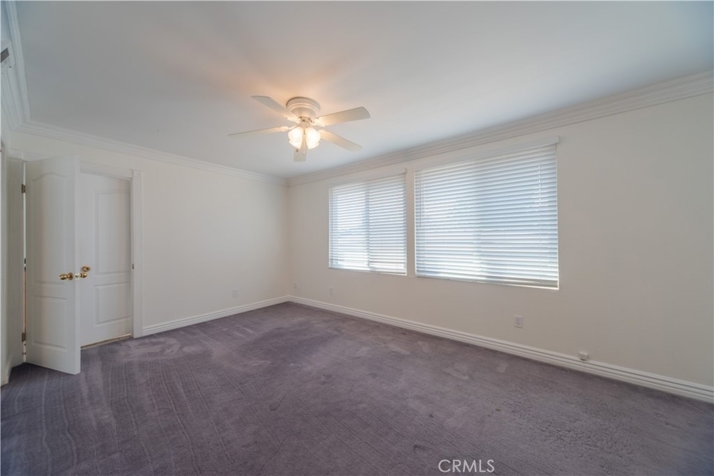 21515 Chirping Sparrow - Photo 21