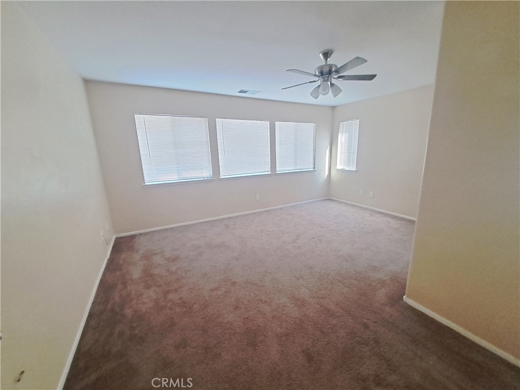 33780 Salvia - Photo 7