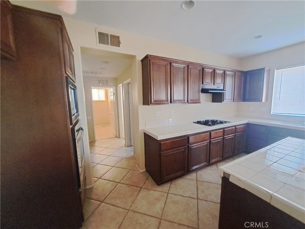 33780 Salvia - Photo 4