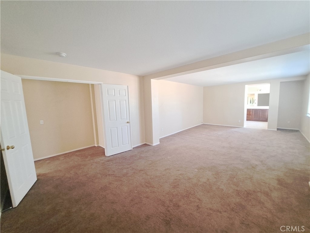 33780 Salvia - Photo 8