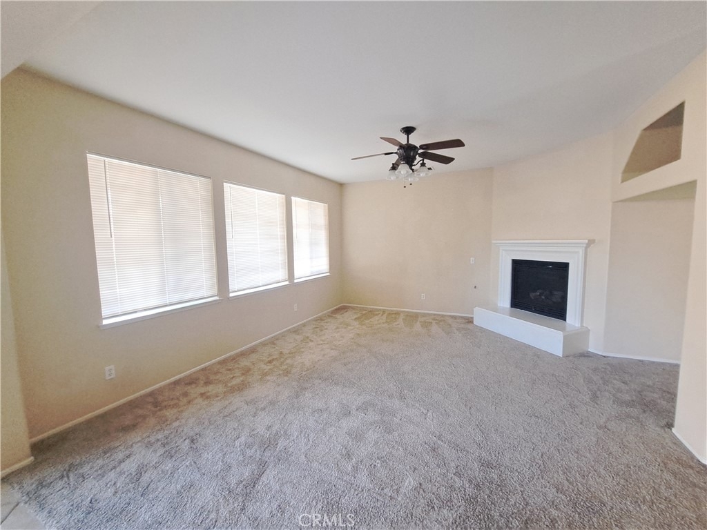 33780 Salvia - Photo 2