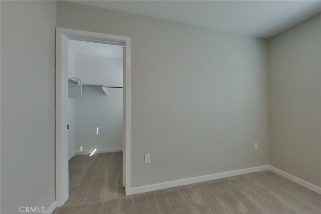 29431 Caribbean Pine Way - Photo 12