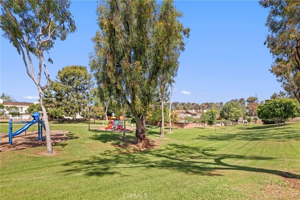 24 Rockrose - Photo 49