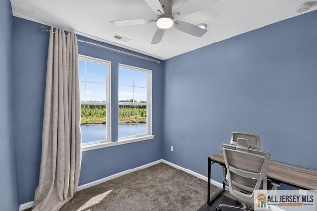 310 South Drive - Photo 12