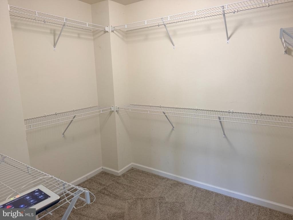 438 Boxelder Drive - Photo 11