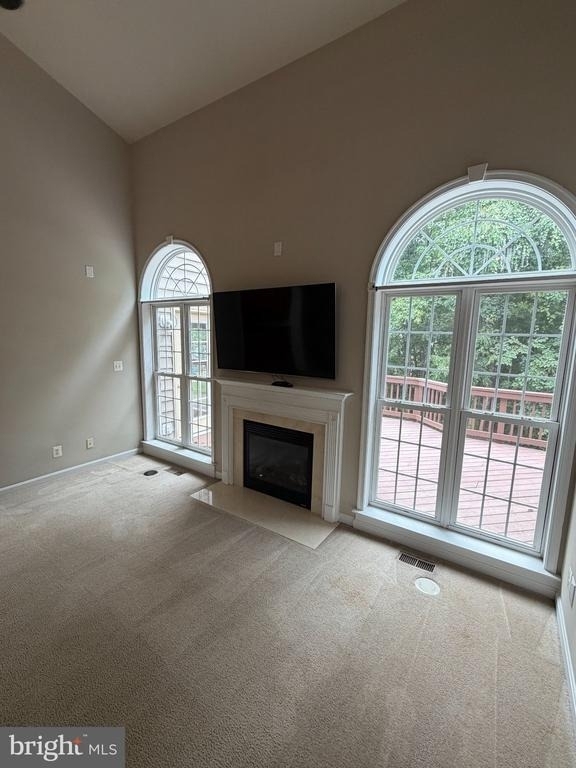 10410 Silver Creek Court - Photo 19