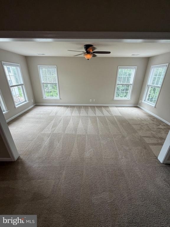 10410 Silver Creek Court - Photo 33