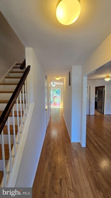 12151 Stallion Court - Photo 2