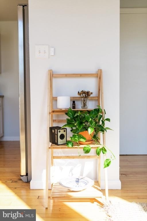 235 Locust Street - Photo 6