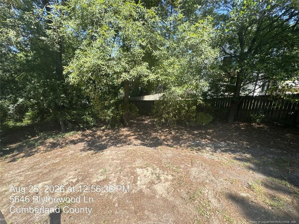 5646 Blythewood Lane - Photo 3