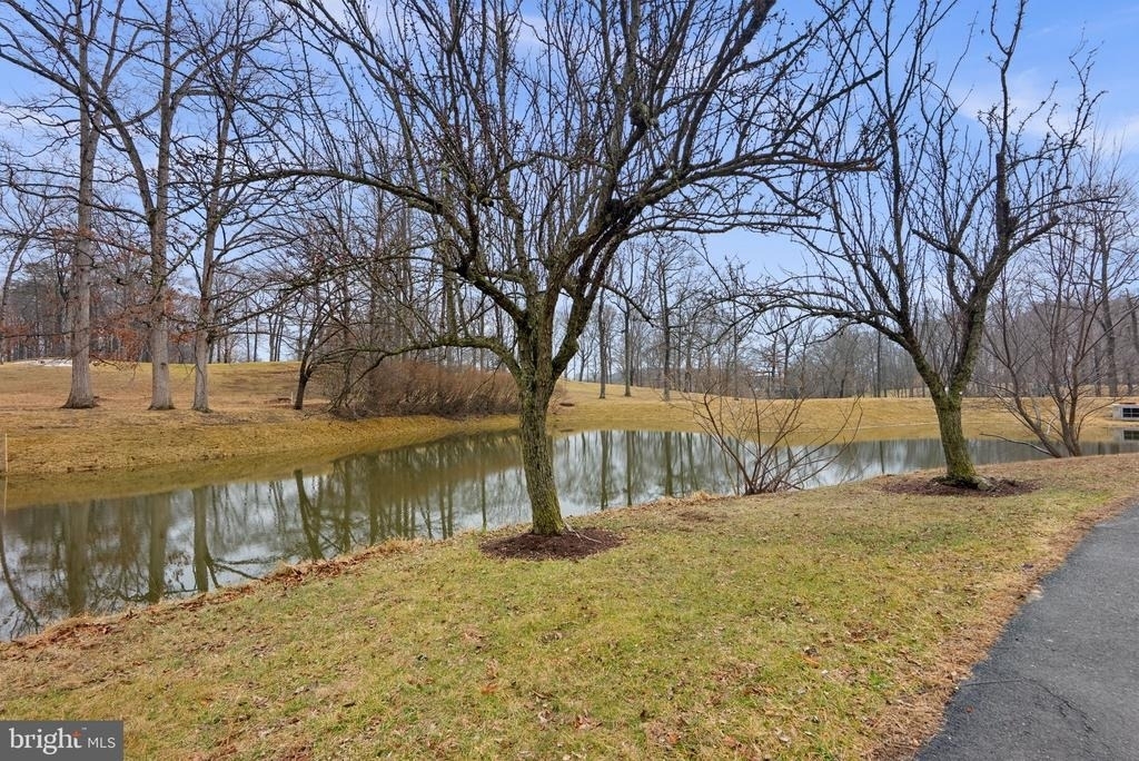 15101 Interlachen Drive - Photo 13