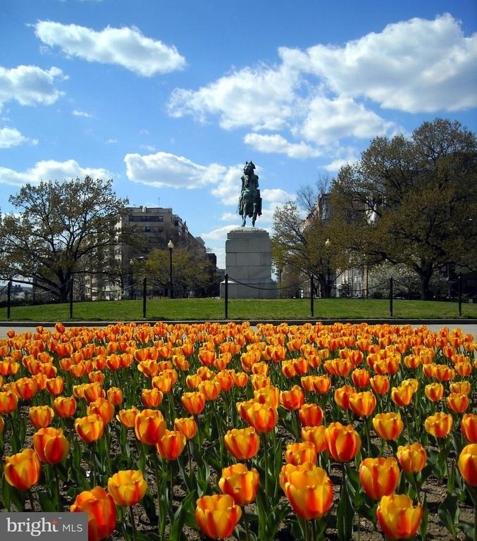 2201 L Street Nw - Photo 21