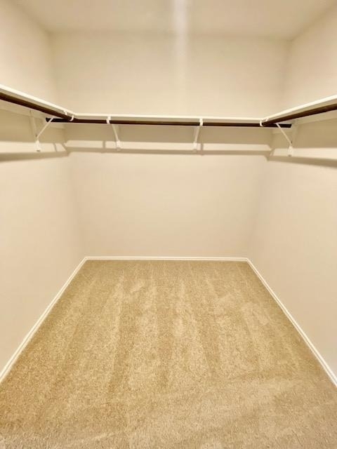 1733 James St - Photo 9