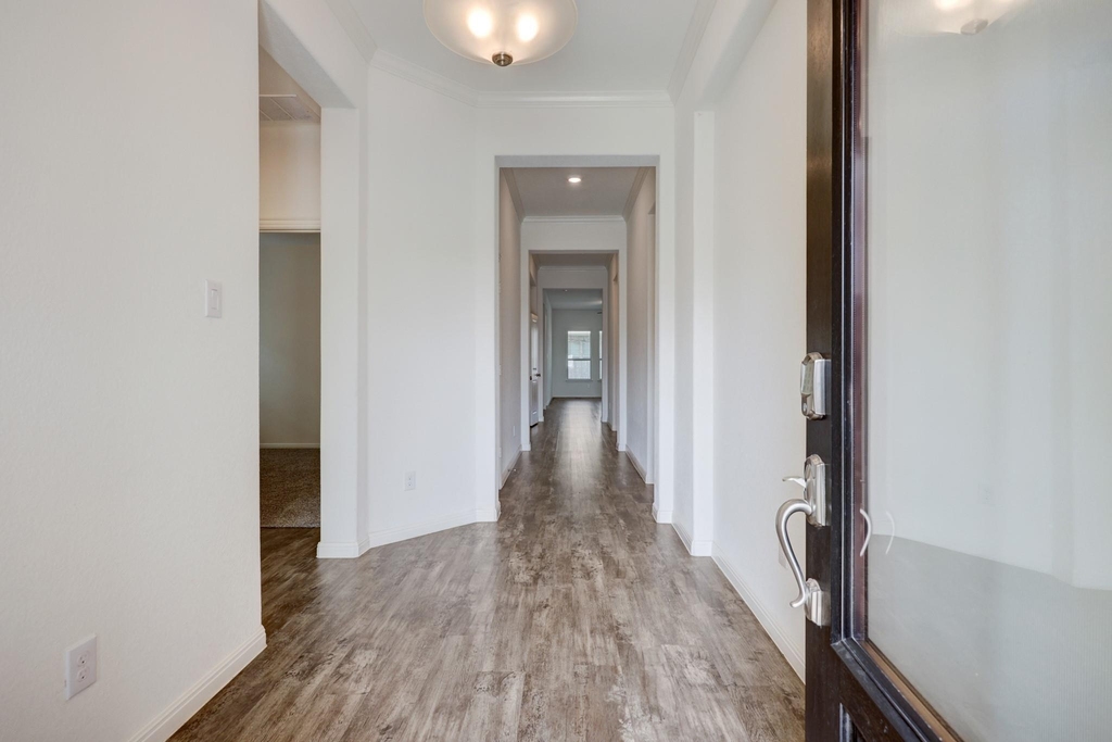 233 Abruzzi St - Photo 1