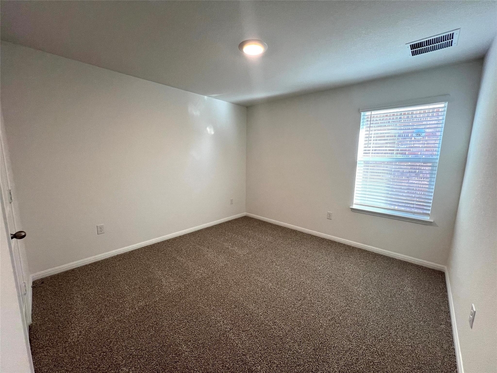 2724 Indian Clover Trl - Photo 8
