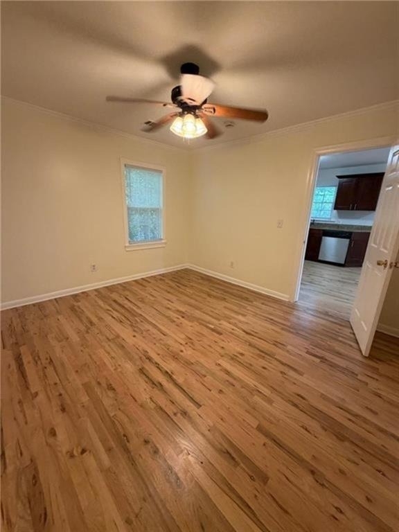 637 Parkdale - Photo 5
