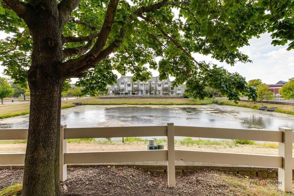 921 Summit Creek Drive - Photo 5