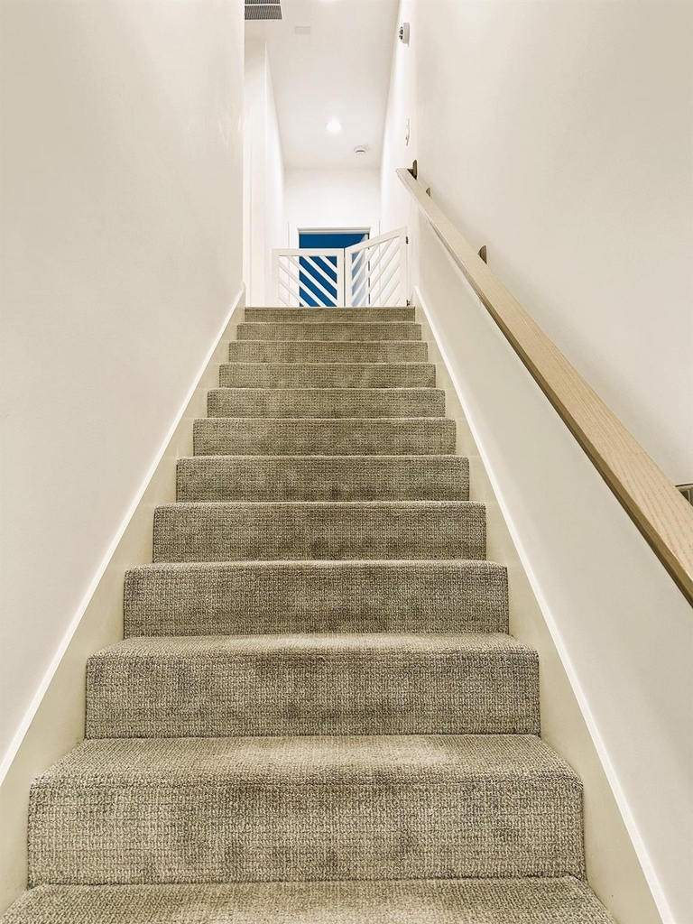 805 Dorothy Street - Photo 20