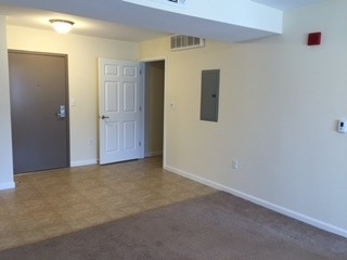 100 Sentinel - Photo 11