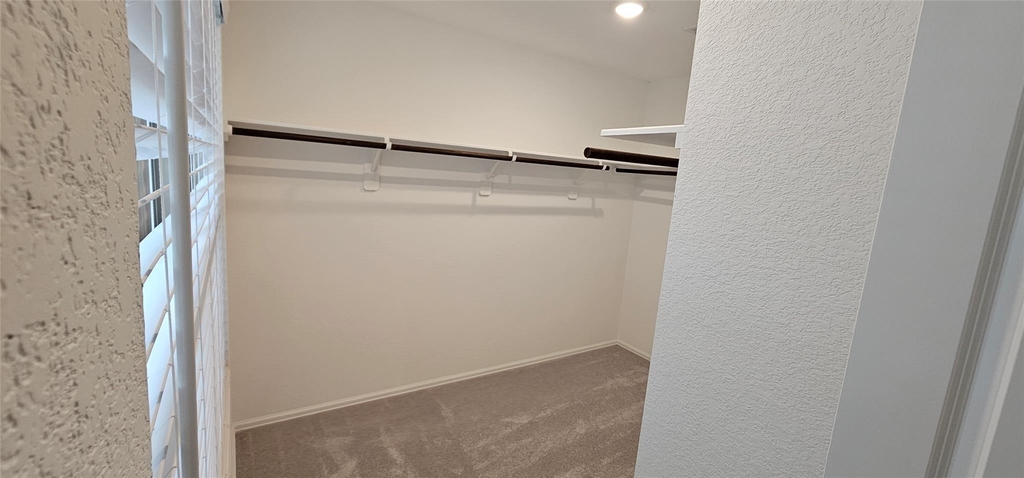 26734 Paloma Blanca Dr - Photo 12
