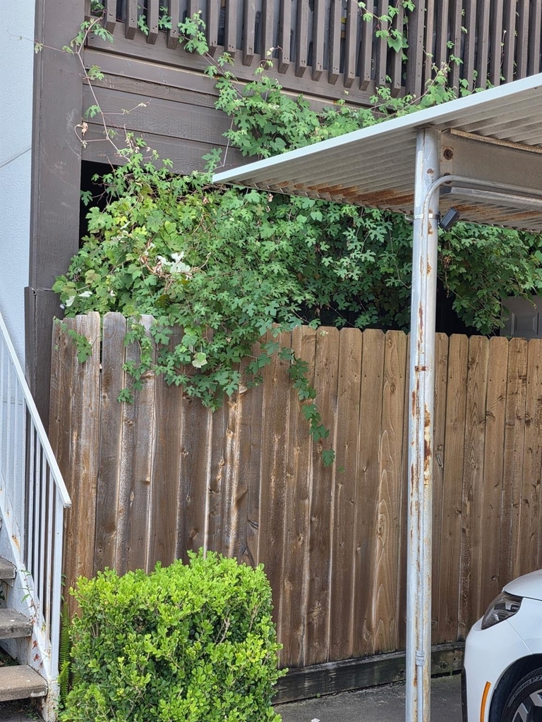 2601 S Braeswood Boulevard - Photo 15