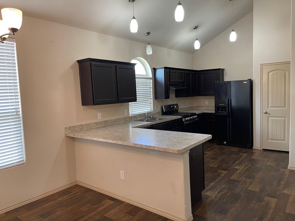 20535 Andorra Hills Lane - Photo 3
