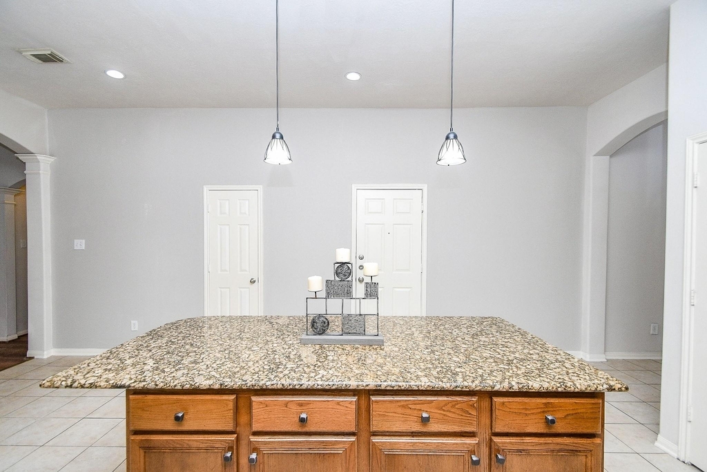 6030 Wildbriar Lane - Photo 10