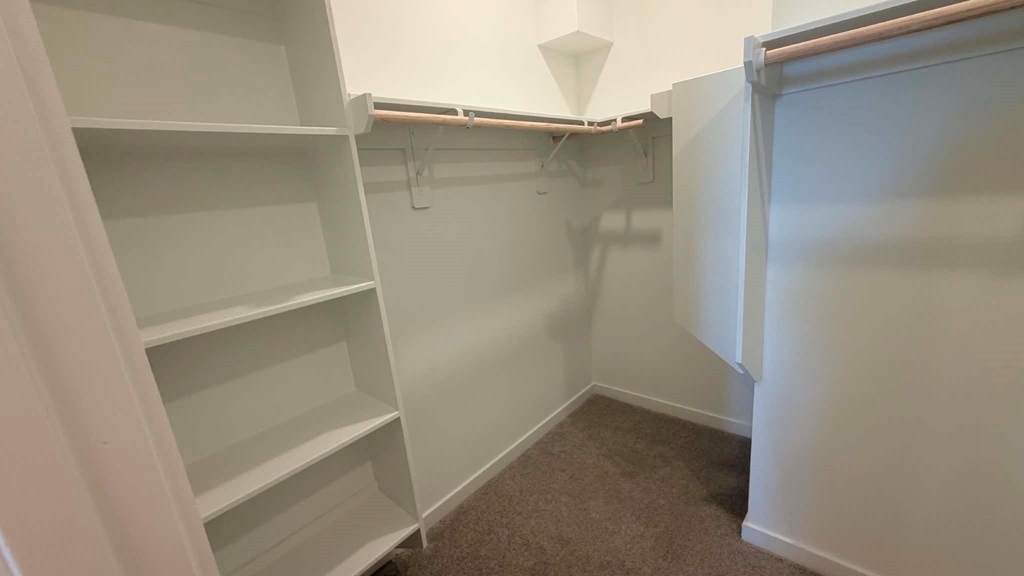 26027 Sea Rosemary Lane - Photo 12