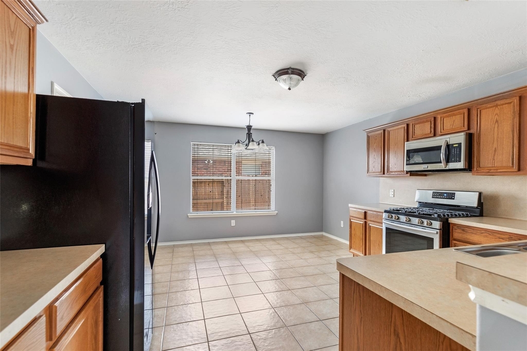 17815 Torregon Lane - Photo 9