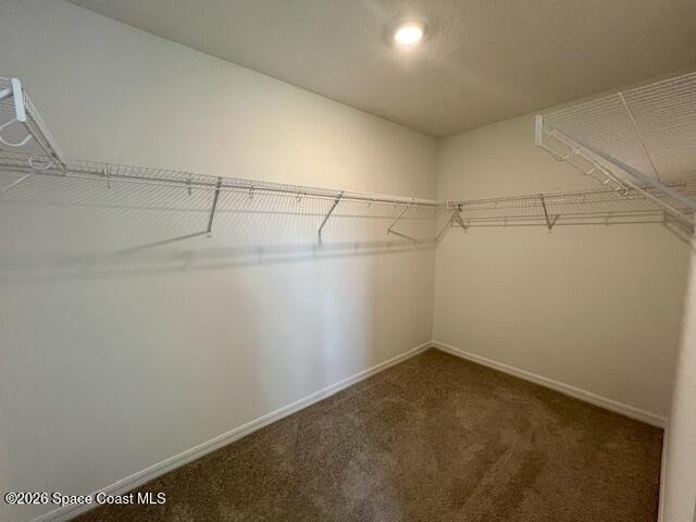 1239 Bluewater Lane - Photo 16