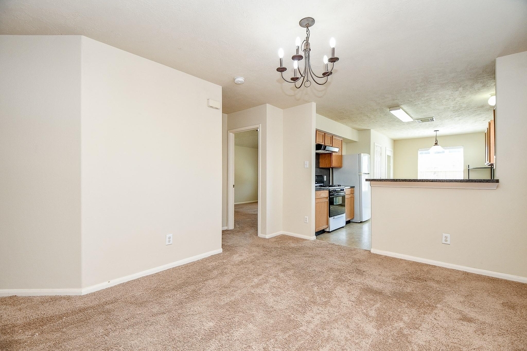 13979 Maximos Dr - Photo 10