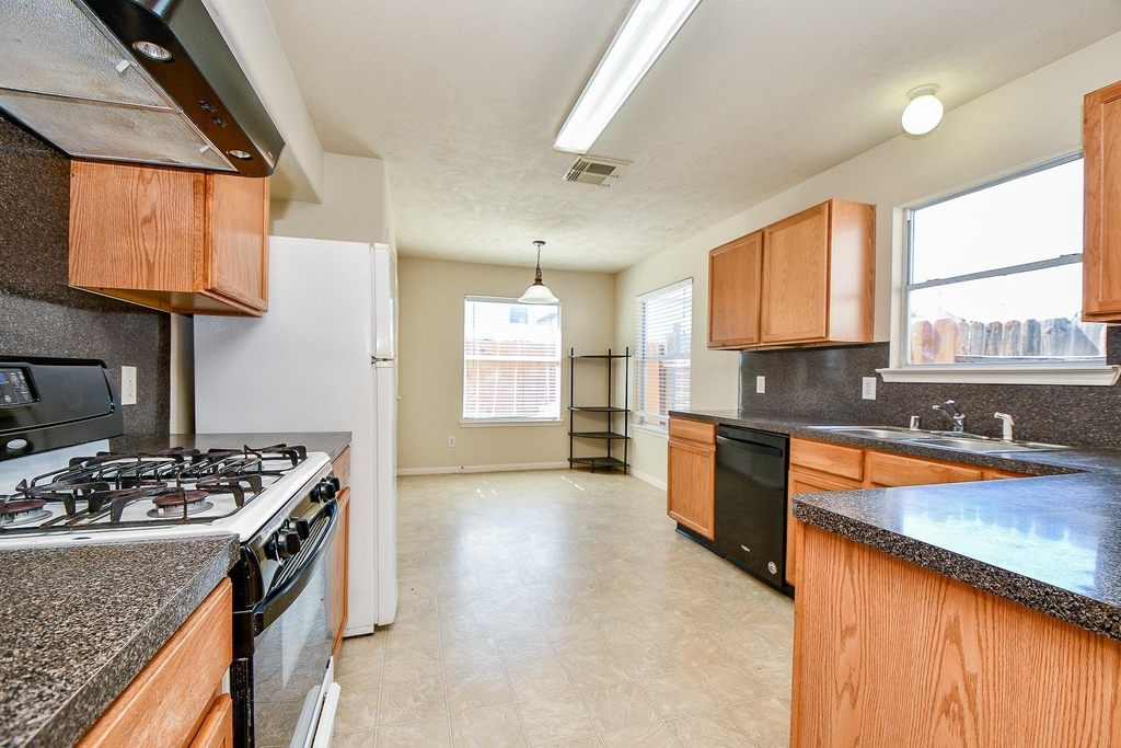 13979 Maximos Dr - Photo 11