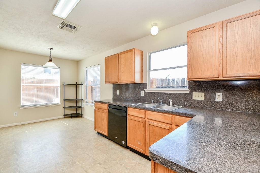13979 Maximos Dr - Photo 12