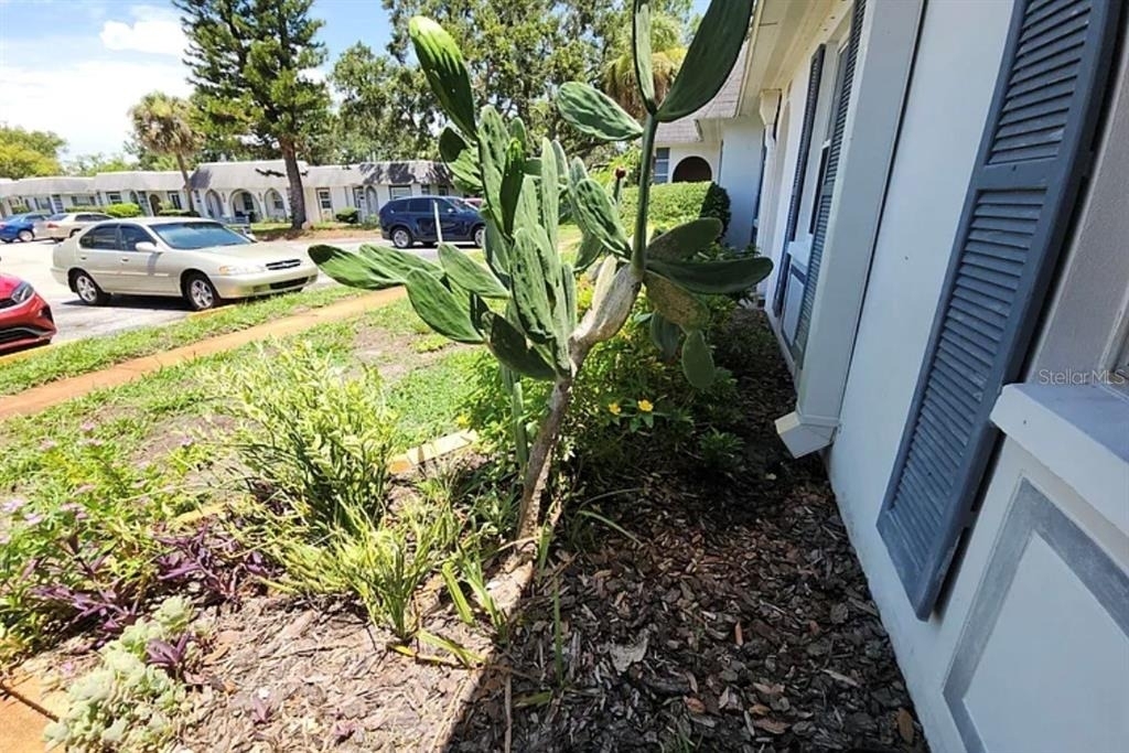 4240 Sheldon Place - Photo 19