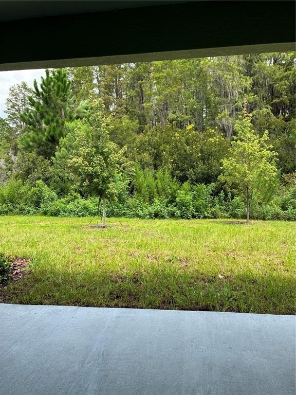32519 Midsummer Night Lane - Photo 9