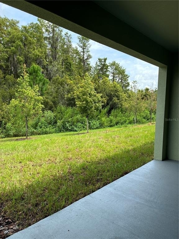 32519 Midsummer Night Lane - Photo 10